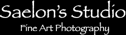 Saelon's Studio Logo