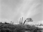 Fence, Henry W. Coe State Park