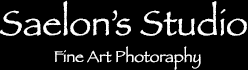 Saelon's Studio Logo